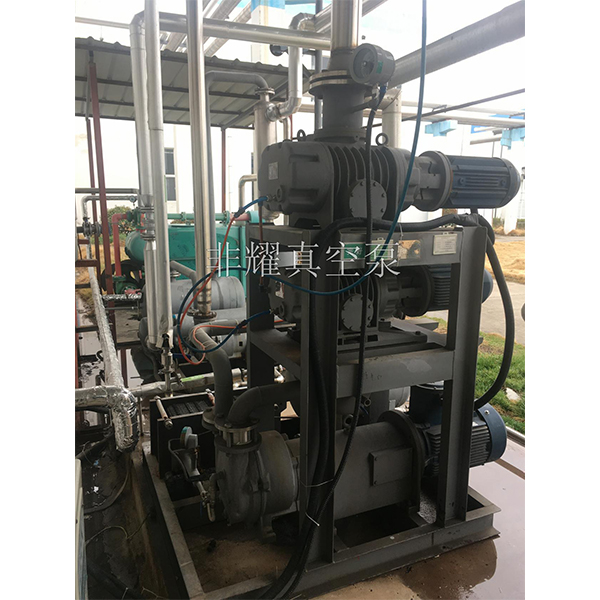 羅茨真空泵機(jī)組型號(hào)
