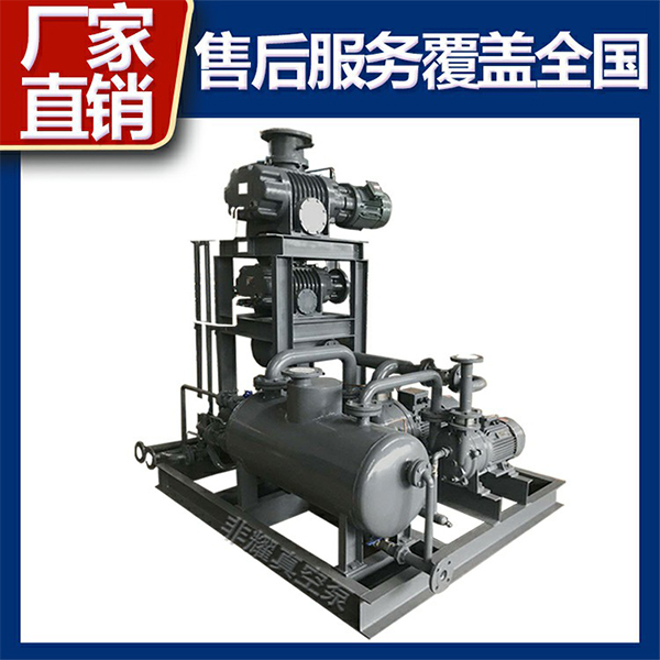 羅茨水環(huán)真空泵機組