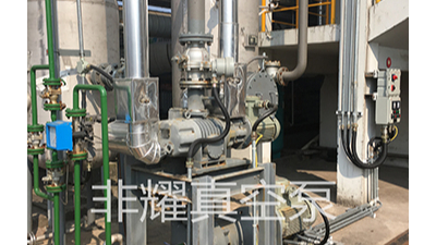 羅茨真空機(jī)組結(jié)垢簡單的問題重復(fù)做【非耀】