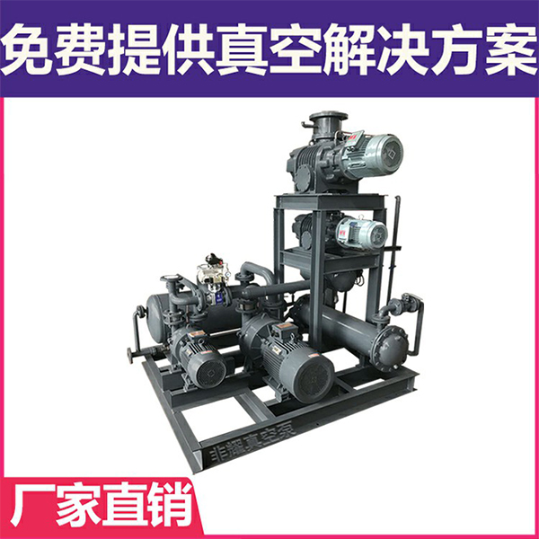羅茨水環(huán)真空泵機組