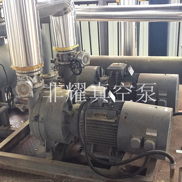 變頻水環(huán)真空泵